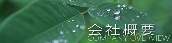 会社概要