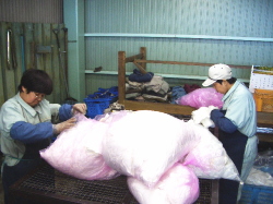 選別している写真