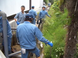 用水路に続々と集まる社員の写真