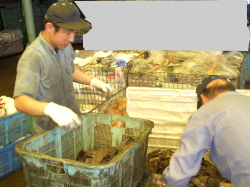 こちらもウエスの小分けをしている写真