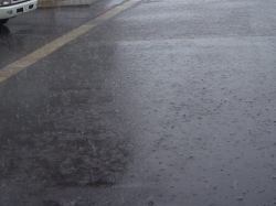 地面にたたきつける雨の写真