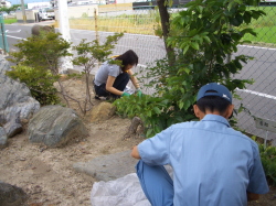 草むしりをしている写真