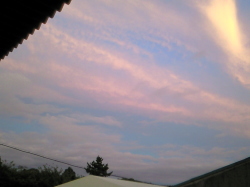 秋の空、夕焼け光る筋雲の写真