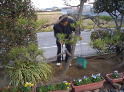 掃き掃除をしている写真