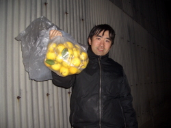 大量に採れたゆずの実を写真撮影