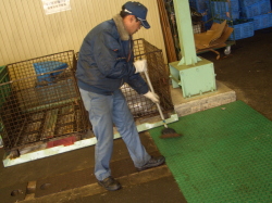 掃き掃除をしている製造部リーダーの写真