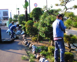 剪定をしている写真
