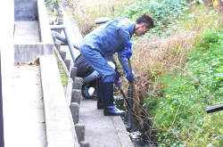 用水路清掃をしている写真